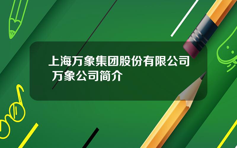 上海万象集团股份有限公司 万象公司简介